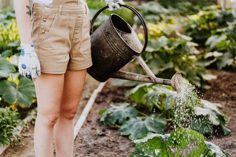 Schrebergarten kaufen oder mieten für Garden Girls
