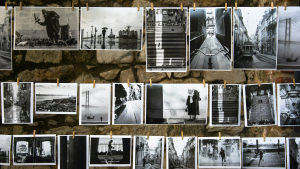 Fotografie als Geldanlage: Tipps zum Kauf von Art-Direktorin Marie-Kristin Thiele