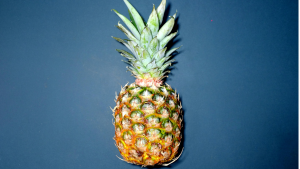 Michelle Spitzer i Interview über die Gründung von eco:fbr