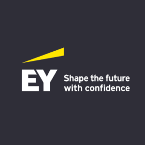 Logo EY Partner von finanzielle