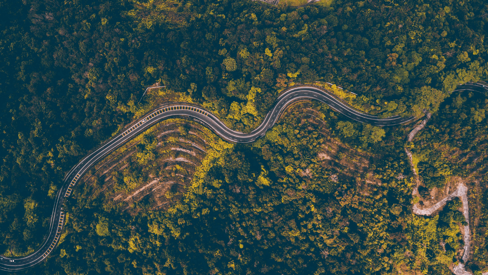 Luftaufnahme einer kurvenreichen Straße furch Wälder