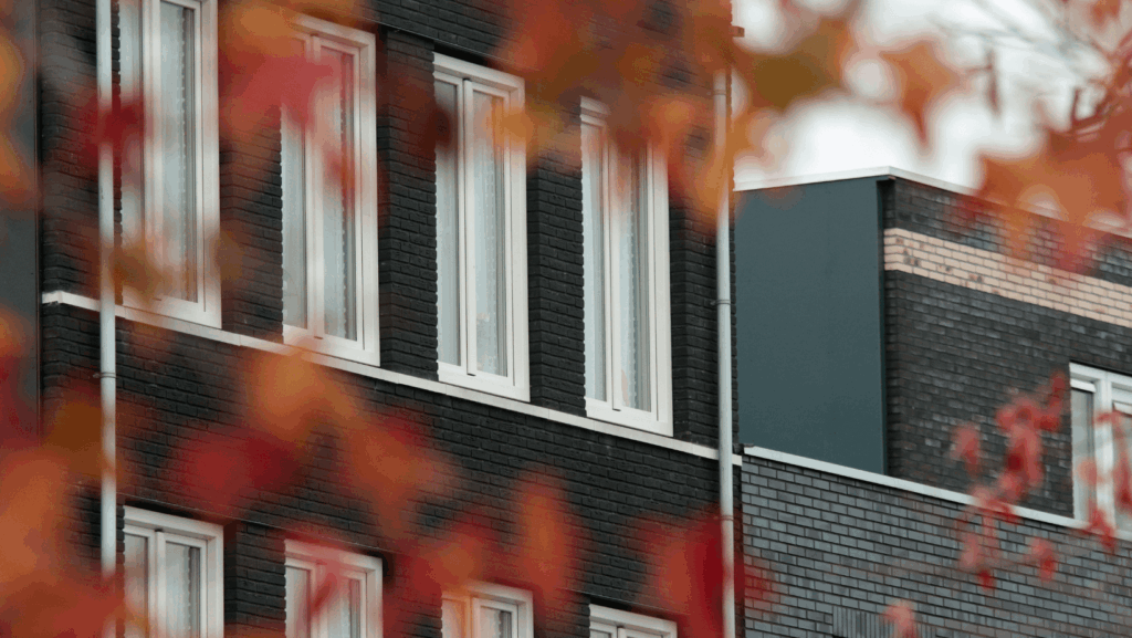 Schwarzes Haus mit Fenstern und Laub im Vordergrund