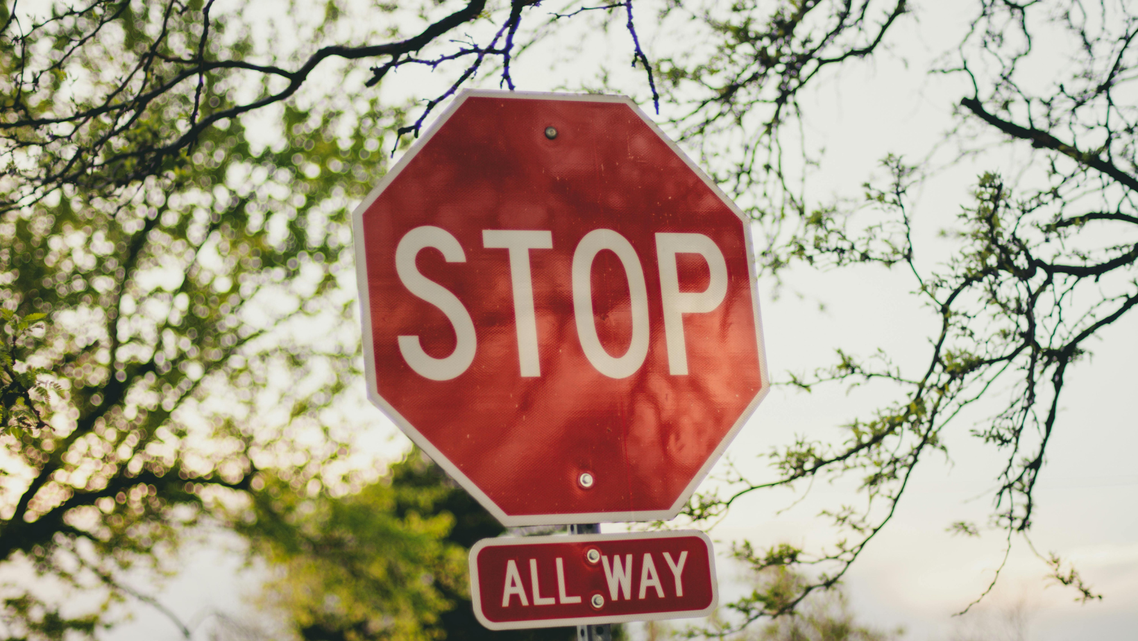Ein Stop-Schild zwischen Ästen, darunter steht "All Way"